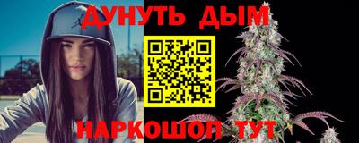 мдпв Бердск