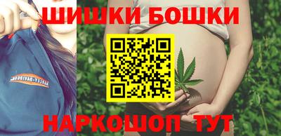 мдпв Бердск