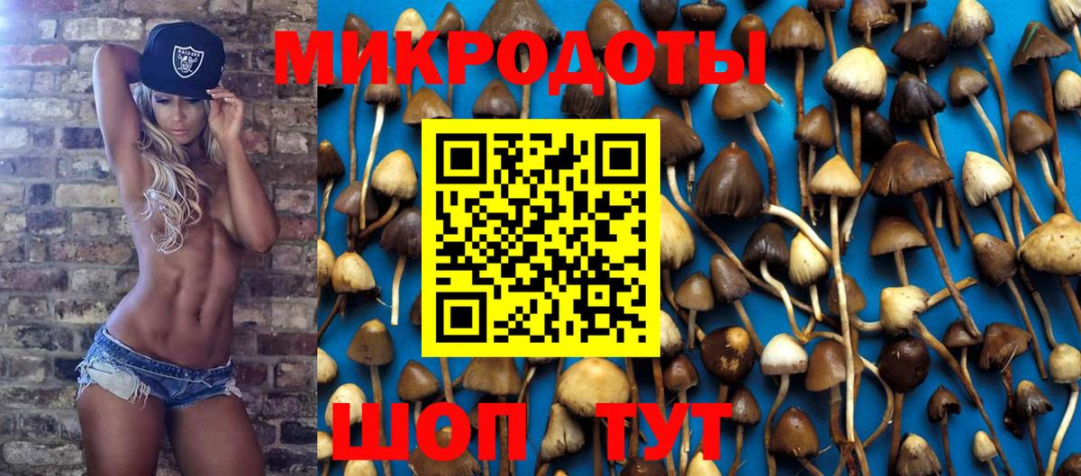 Псилоцибиновые грибы Cubensis  Вход с VPN  Добрянка  Галлюциногенные грибы Psilocybine cubensis 